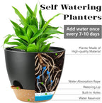 6-Pack Plant Pots with Drainage 7 Inch, Self Watering Pots - Image 3