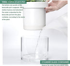 Phoenix Vine 6 Inch Self Watering Planter - Image 6