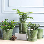 BUYMAX Plant Pots Indoor –5 inch Ceramic Flower Pot - Image 4
