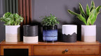 Nihow Self Watering Plant Pot: 6 Inch Ceramic Planter - Image 9