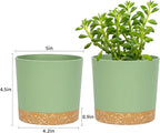 QCQHDU 5 inch Plant Pot, 2 Pack Planters - Image 2