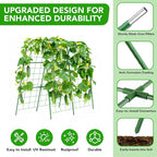 Cucumber Trellis for Raised Bed, U-Shape Garden Trellis for Climbing Plants - Image 2