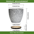 10 Inch Plant Pot - Image 3