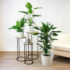 Trellis for Climbing Plants Indoor, Stackable Garden Trellis for Potted Plants - Image 5