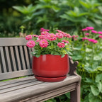 G EPGardening Ceramic Planter 7 Inch - Image 4