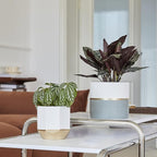 LA Jolie Muse White Ceramic Flower Pot Garden Planters 6.7 Inch Pack 2 Indoor - Image 3