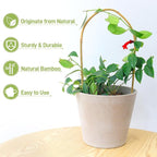 Avalution 16" Natural Bamboo Plants Trellis U-Hoop, Bamboo Gaeden Trellis - Image 4