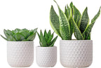 Docrin Plant Pots Indoor with Drainage: 6.4+5.3+4 Inch Ceramic Flower Pots - Image 9