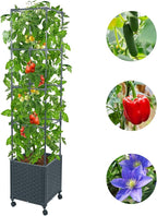 GREEN MOUNT Raised Garden Bed Planter Boxes - Image 2
