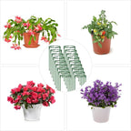 36Packs Plant Support Stake Half Round Plant Support - Image 7