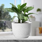 Plant Pots 12 inch, Plastic Planters - Image 5