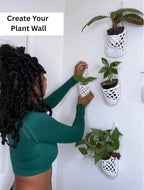3 Packs Hanging Planters for Indoor Plants up to 4 in., Wall Plant Holder | - Image 7