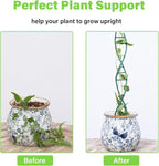 Indoor Plant Trellis for Potted Plants - Image 3