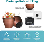 2 Pack Plastic Plant Pots with Drainage Holes, 8 inch Planter - Image 3
