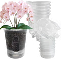 Cdd's Path Upgraded 5-Pack 6 Inch Naked Root Planter Self Watering Pots Set by Unknown