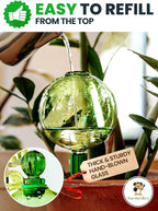 6pcs 16 Oz Plant Watering Globes - Image 3