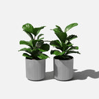 Veradek Demi Series Round Planter - Image 8
