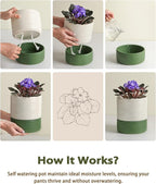 Self Watering Pots for Indoor Plants, 6 Inch Ceramic Self Watering Plant Pot - Image 6
