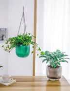 Melphoe 2 Pack Self Watering Hanging Planters Indoor Flower Pots, 6.5 Inch - Image 2