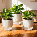 3 Pack Self Watering Pots Set, 5.5 Inch Self Watering Pots - Image 5