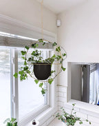 2 Pack Hanging Planters for Indoor Plants - Image 6