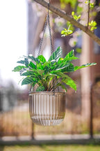 Melphoe 2 Pack Self Watering Hanging Planters Indoor Flower Pots, 6.5 Inch - Image 7