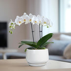 G EPGardening Ceramic Pots for Plants - Image 5