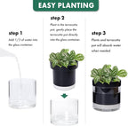 Phoenix Vine 6 Inch Self Watering Planter Pot - Image 7