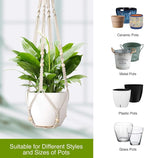 Macrame Plant Hanger Indoor Set of 2 - Image 8