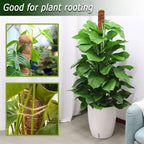 60 Inch Moss Pole for Plants Monstera, Tall Bendable Moss Poles for Climbing - Image 2