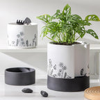 Nihow Self Watering Plant Pot: 8 Inch Ceramic Planter - Image 6