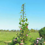 Trellis for Climbing Plants Outdoor, 73inch Tall Plants Trellis Support Metal - Image 7