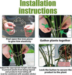 Monstera Plant Stem Support - Image 3