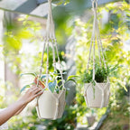 Macrame Plant Hanger Indoor Set of 4 - Image 3
