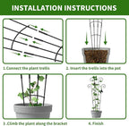 4 Pack 30 InchTaller Plant Trellis - Image 5