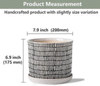 8 Inch Plant Pot: Ceramic Planter - Image 2