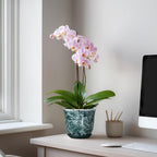 Ceramic Pots for Plants - Image 3