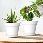7 Inch Thick Plastic Plant Pots - Image 6