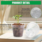 BTPLASTIK 200 Pack 2.5 Inch Clear Nursery Pots - Image 3