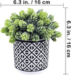 Winlyn 3 Pcs Small Potted Succulents Plants Artificial String of Pearls Aloe - Image 3