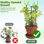 9 Pcs Plant Support Stakes & Plant Cage Support Rings, Plant Supports - Image 4