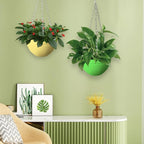 8 Pack 8 Inch Plastic Self Watering Hanging Planters, Colorful Hanging Basket - Image 5