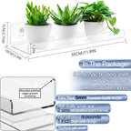 2 Pack 12 Inch Acrylic Window Boxes Plant Shelves, - Image 2