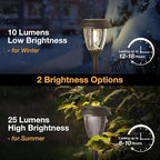 XMCOSY+ Solar Pathway Lights Outdoor, Glass & Stainless Steel Garden Lights - Image 3