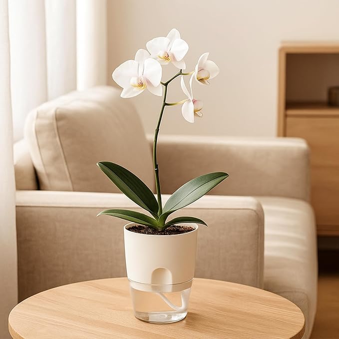 Planterhoma 5 Pack Self Watering Pots - Image 2