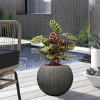 11.8" H X 14.5" D Round Plastic Planter - Image 7
