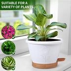 Plant Pots, Flower Pots for Indoor/Outdoor Plants, Self Watering Plastic - Image 7
