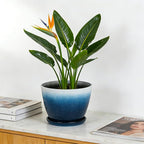 Worth Garden Plastic Round 8" Plant Pots - Image 6