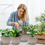 FGstyle 10 Inch Plants Pot, 4 Pack Flower Pots, Planters Pot - Image 5