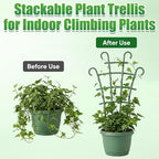 Plant Support Stakes, Stackable Plant Trellis - Image 3